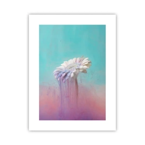 Affisch - Blommornas undervärld - 30x40 cm