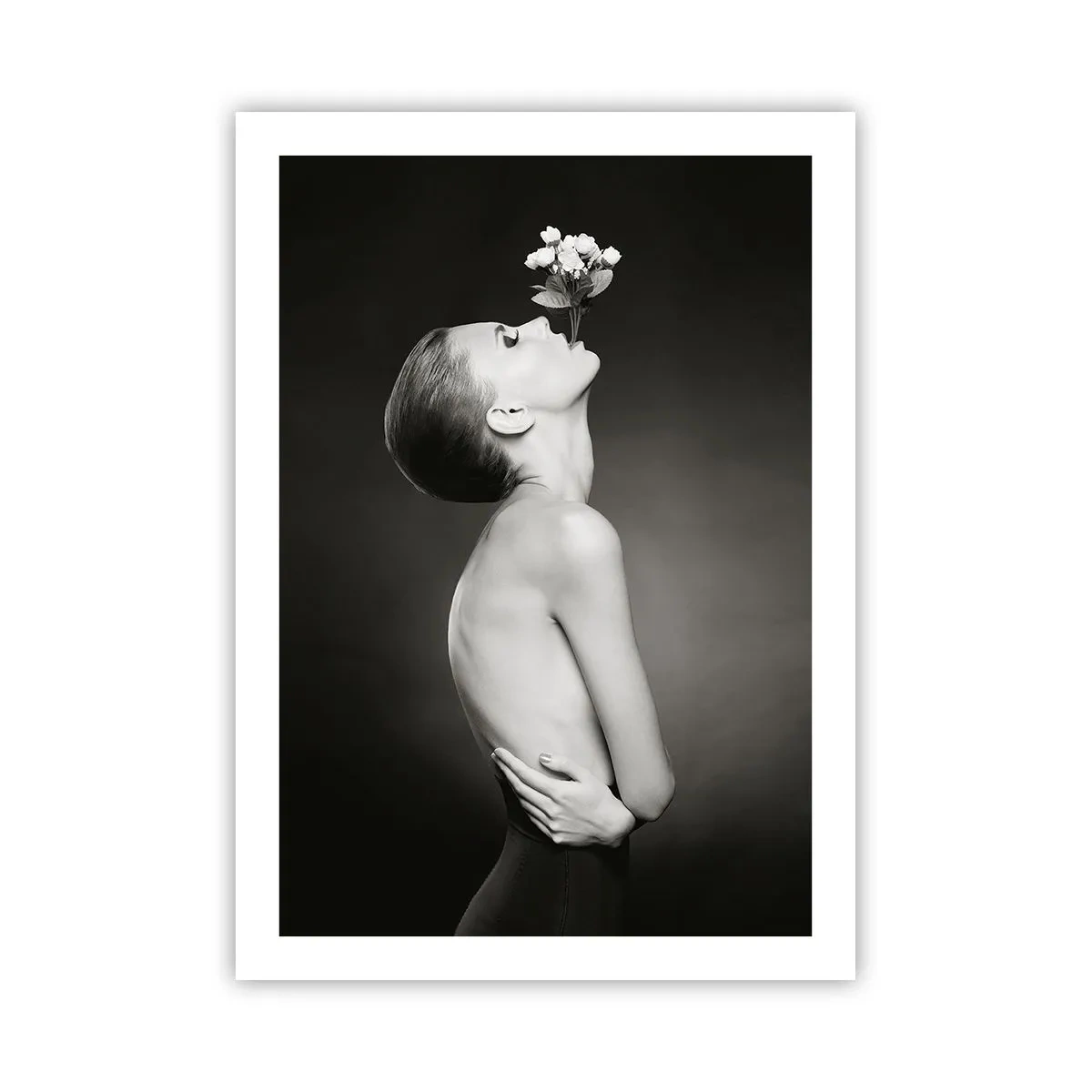 Affisch - Excentrisk elegans - 50x70 cm