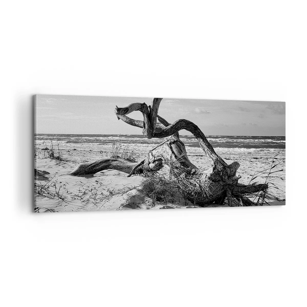 Canvastavla - Bild på duk - Havets skulptur - 100x40 cm