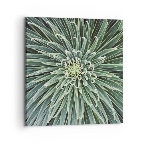 Canvastavla - Bild på duk - Stjärna föds - 70x70 cm