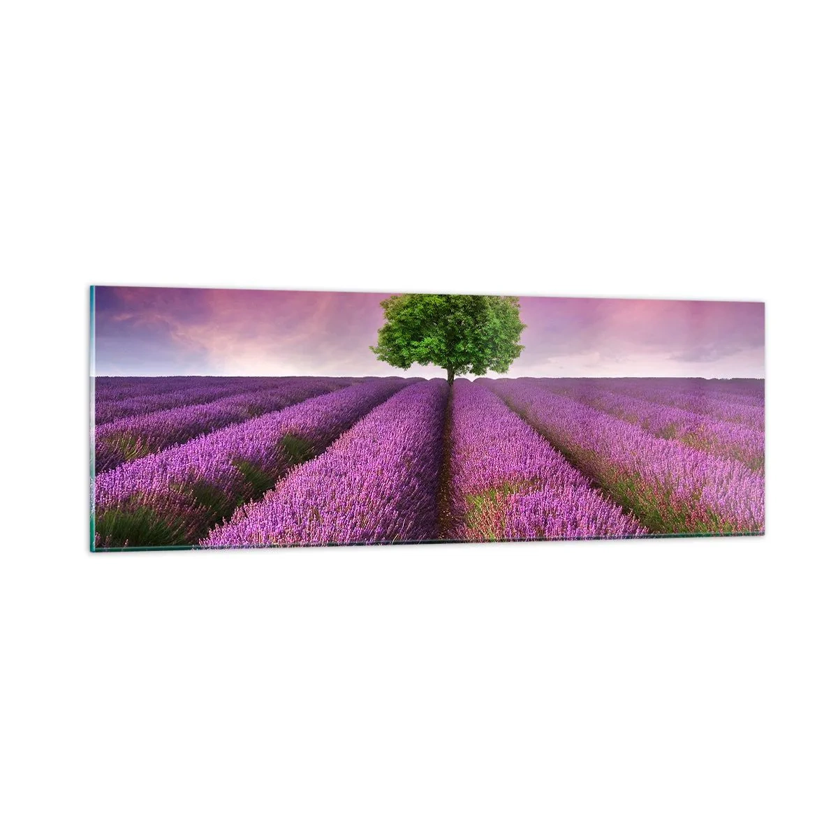 Glastavla - Bild på glas - På lavendelåkrarna - 90x30 cm