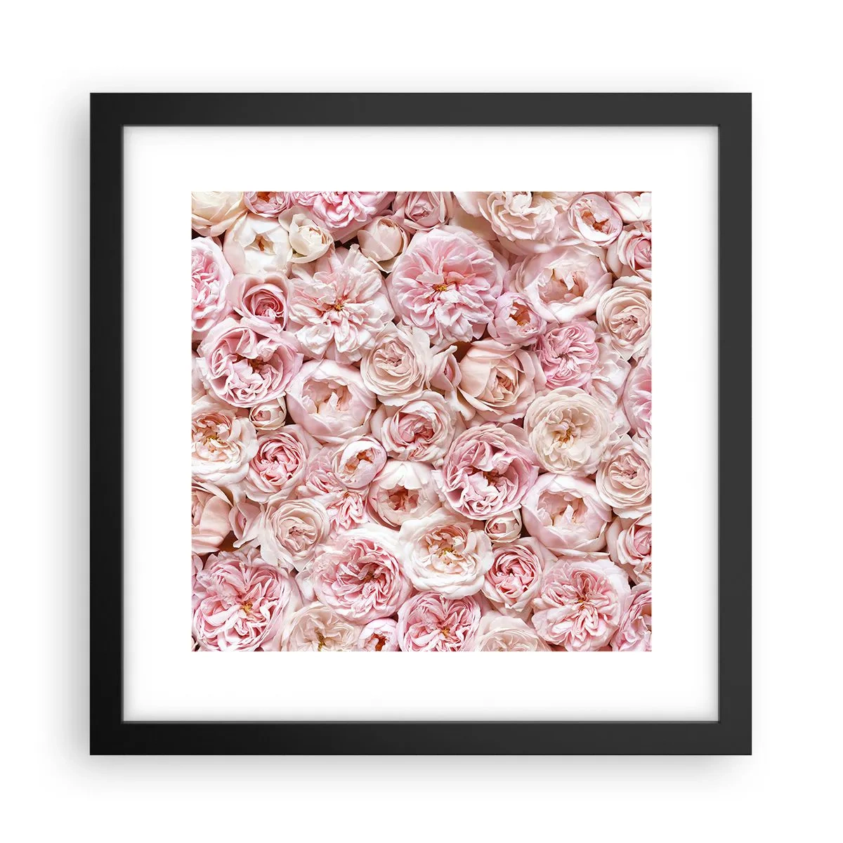 Affisch i svart ram - Strödd med rosor - 30x30 cm