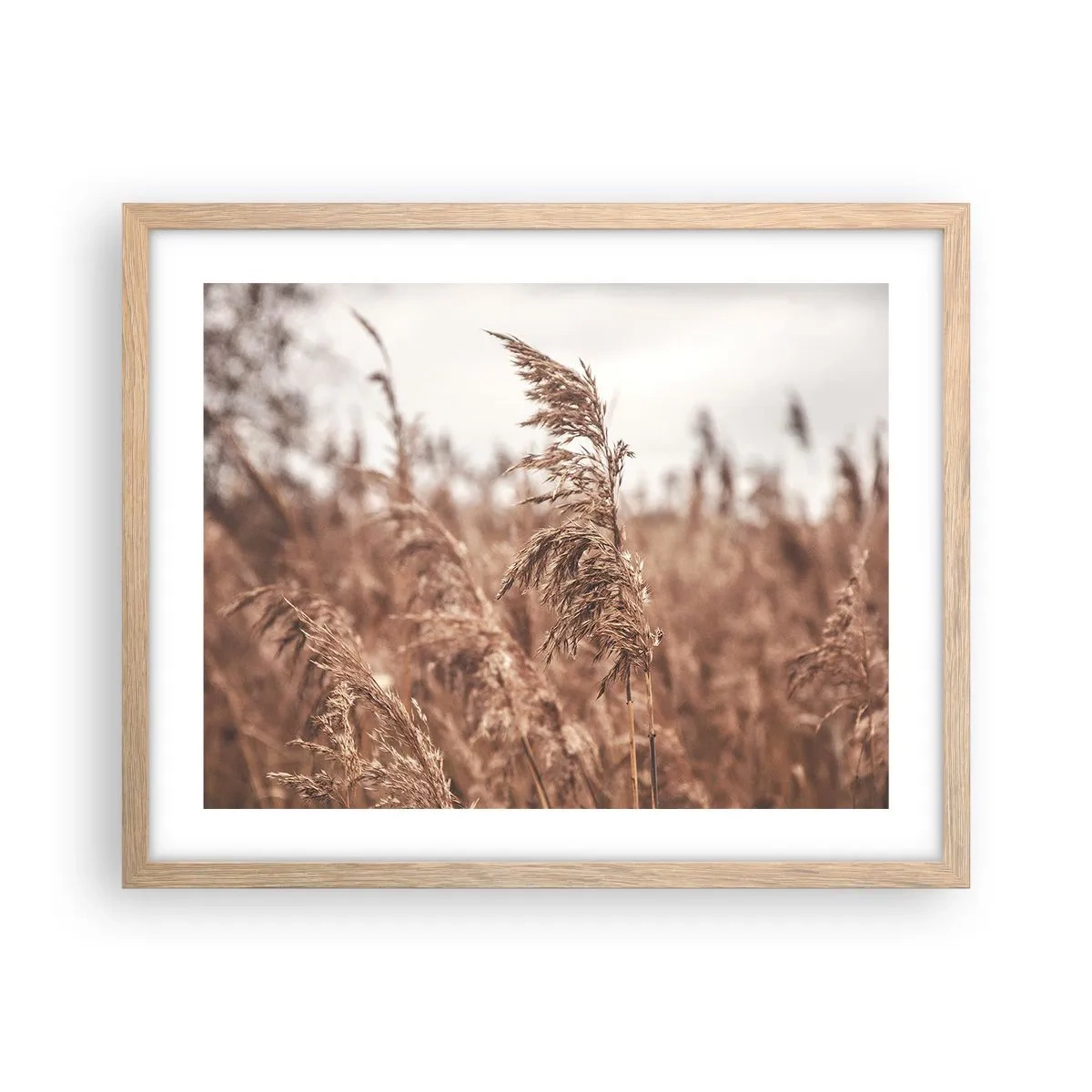 Affisch i ram av ljusek - Hösten är framme på åkrarna - 50x40 cm