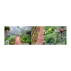 Provbit av fototapet Premium Sand - Upphängd i trädkronorna - Landskap, Djungel, Costa Rica - 100x30 cm