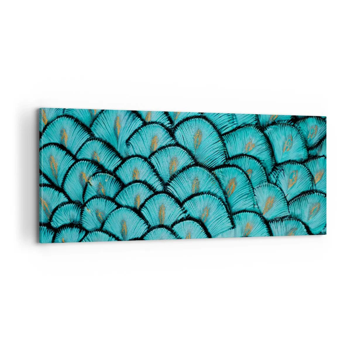 Canvastavla - Bild på duk - Den stora fjädergalan - 100x40 cm
