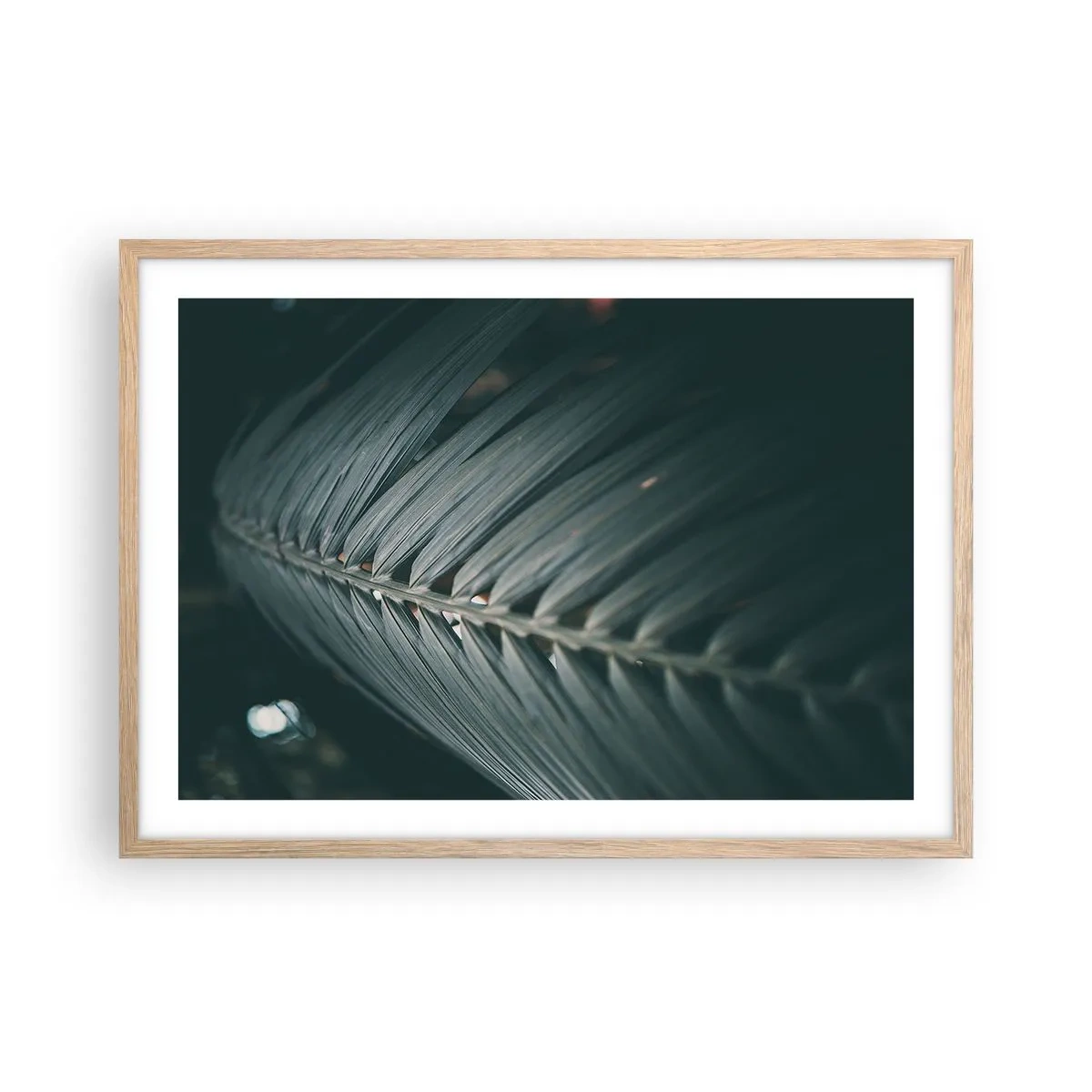 Affisch i ram av ljusek - Naturens precision - 70x50 cm