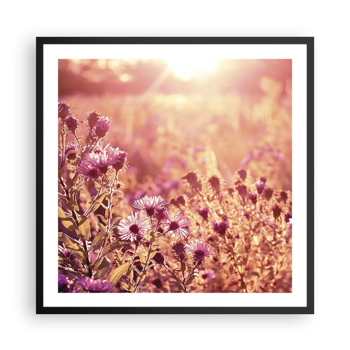 Affisch i svart ram - Innan sommaren går bort - 60x60 cm