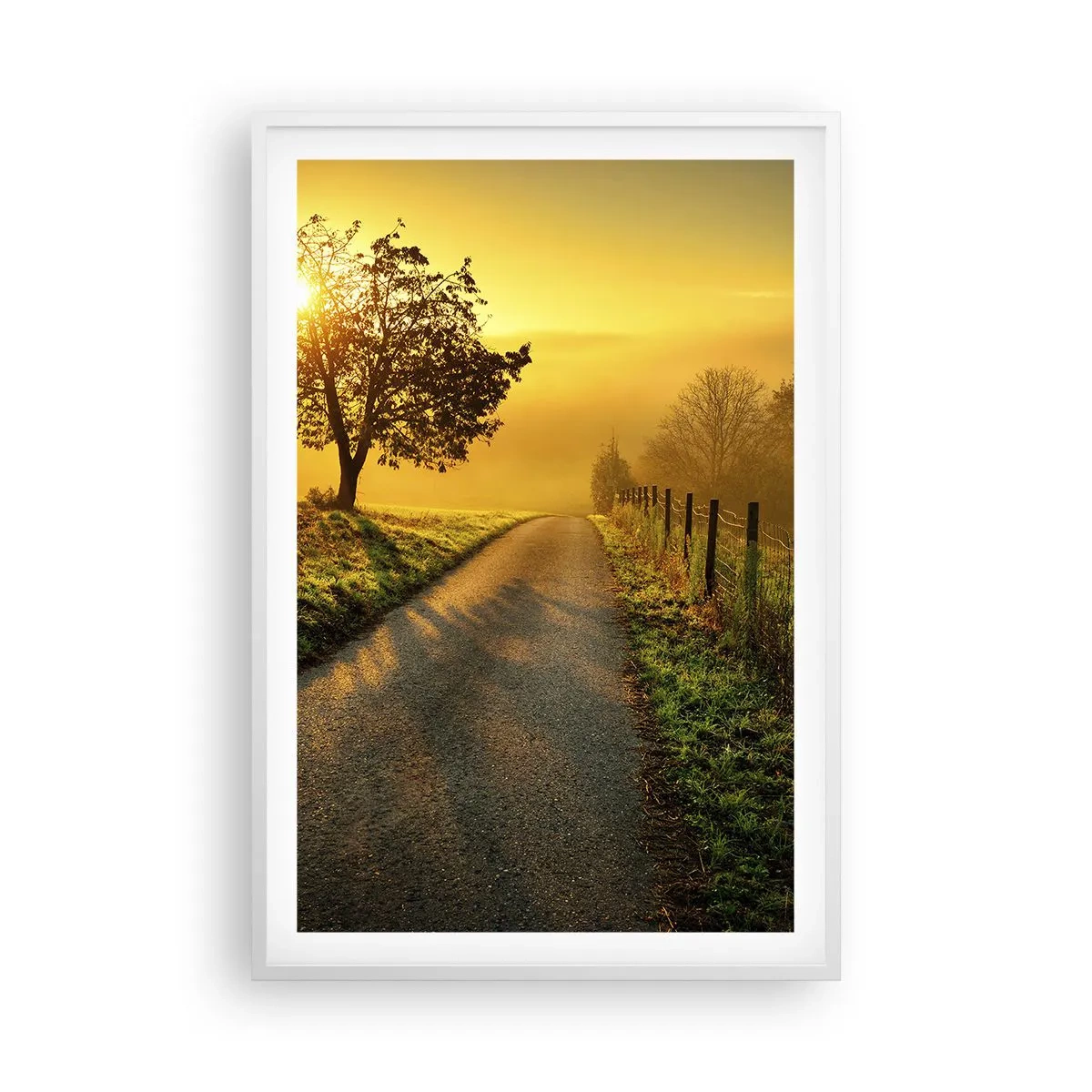 Affisch i vit ram - Honungfärgad eftermiddag - 61x91 cm