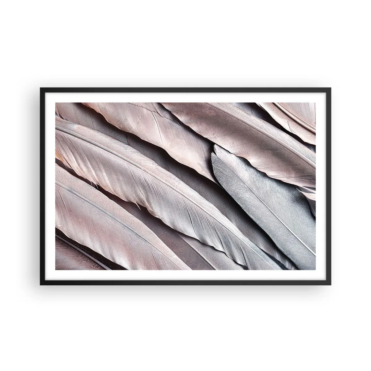 Affisch i svart ram - I rosa silver - 91x61 cm