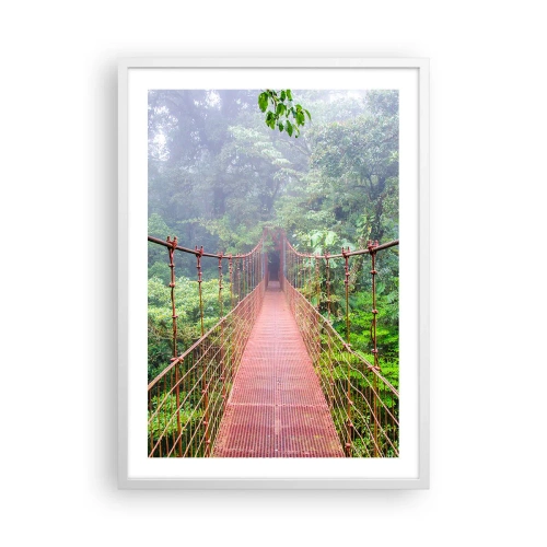 Affisch i vit ram - Upphängd i trädkronorna - 50x70 cm