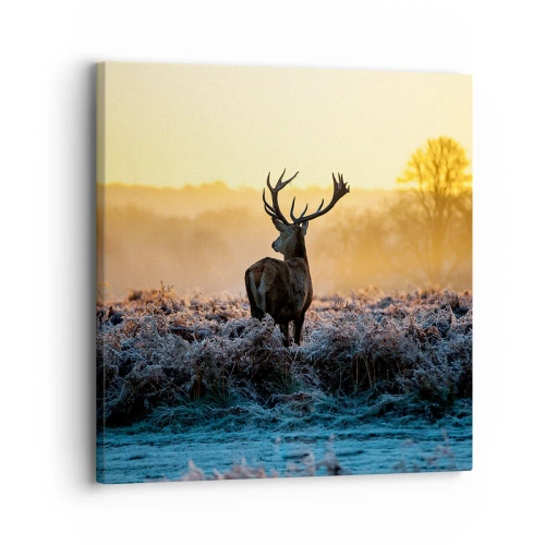 Canvastavla - Bild på duk - Krönt på sin mark - 30x30 cm