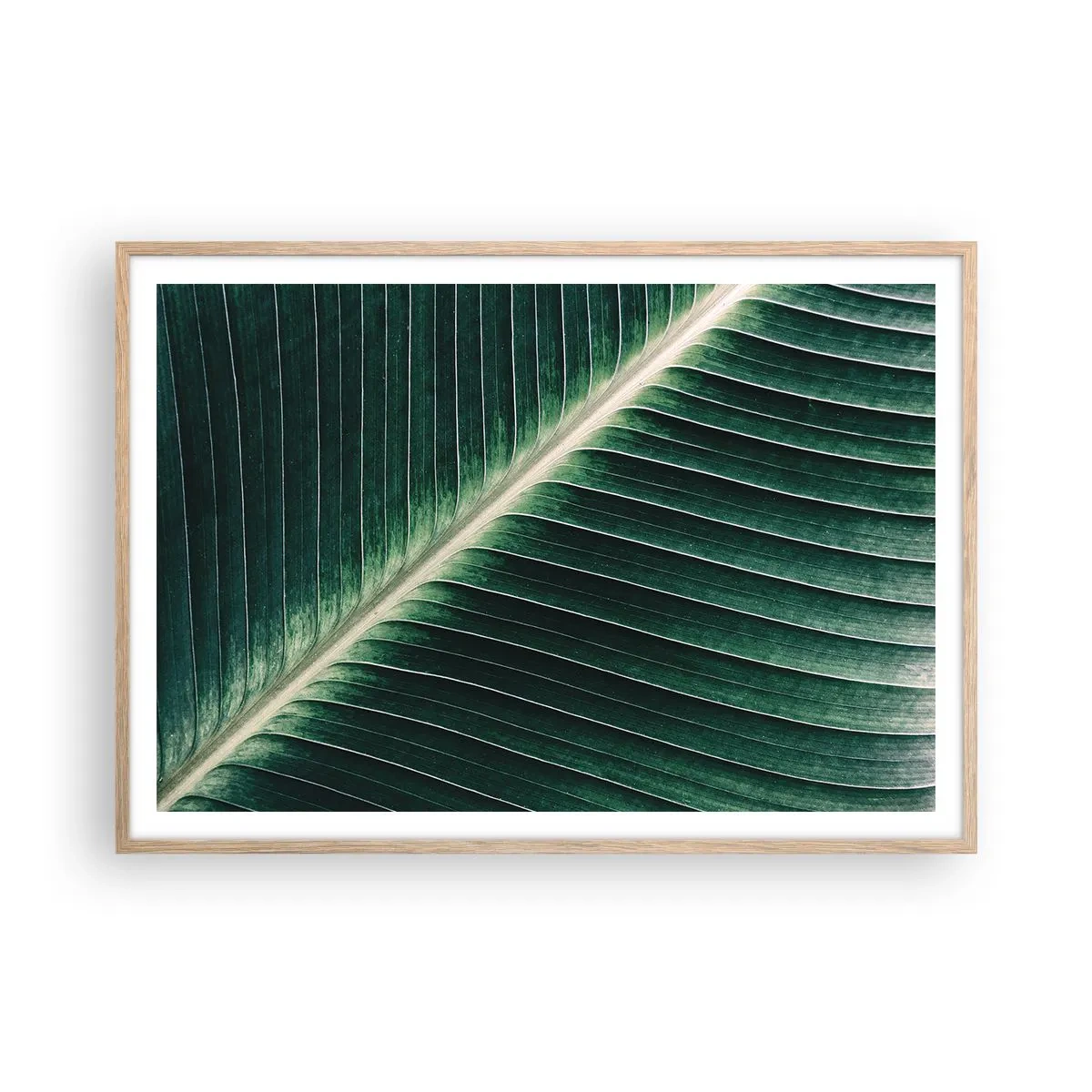 Affisch i ram av ljusek - Naturens rytm - 100x70 cm