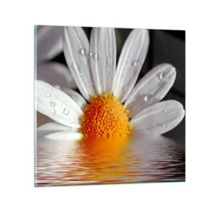 Glastavla - Bild på glas - Prästkrages uppstigande sol - 30x30 cm