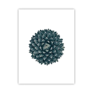 Affisch - Öknens stjärna - 30x40 cm