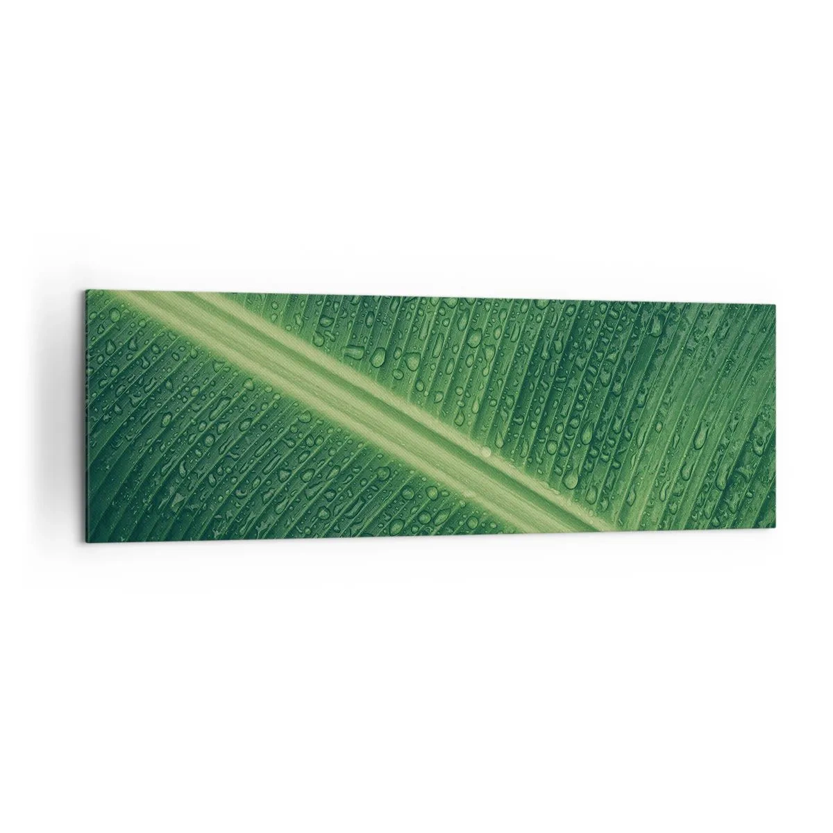 Canvastavla - Bild på duk - Grönskans struktur - 160x50 cm