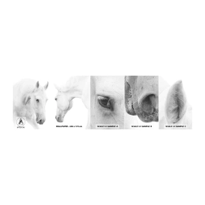 Provbit av självhäftande fototapet Deluxe Sticker - Är det vänskap…? - Hästar, Natur, Djur - 100x30 cm