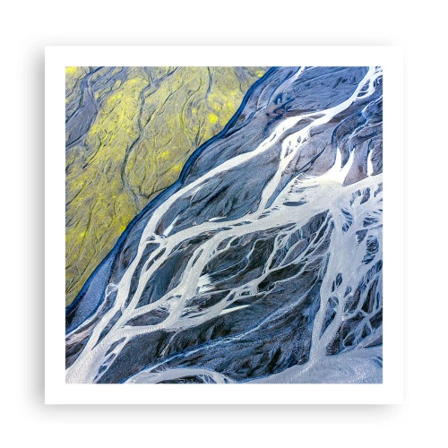 Affisch - Naturens grottmålningar - 60x60 cm