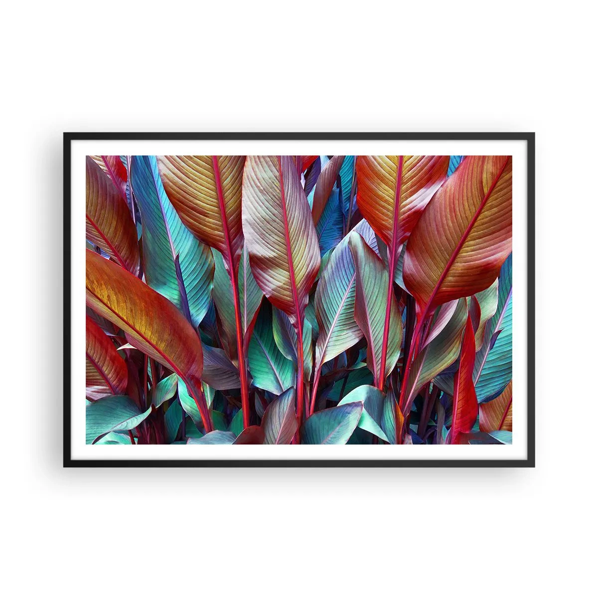 Affisch i svart ram - En färgglad tätskog - 100x70 cm