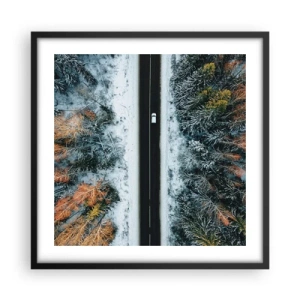 Affisch i svart ram - Genom vinterskogen - 50x50 cm