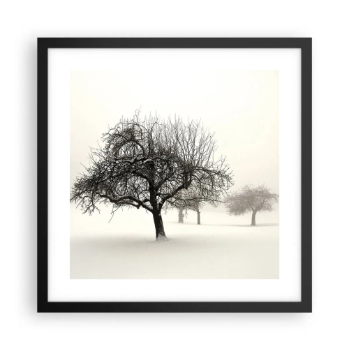 Affisch i svart ram - Vintersömn - 40x40 cm