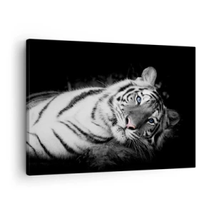 Canvastavla - Bild på duk - En konstnärligt återgiven vit tiger mot en svart bakgrund - 70x50cm - Vildhet och lugn - Modern väggdekoration för vardagsrum och sovrum ARTTOR
