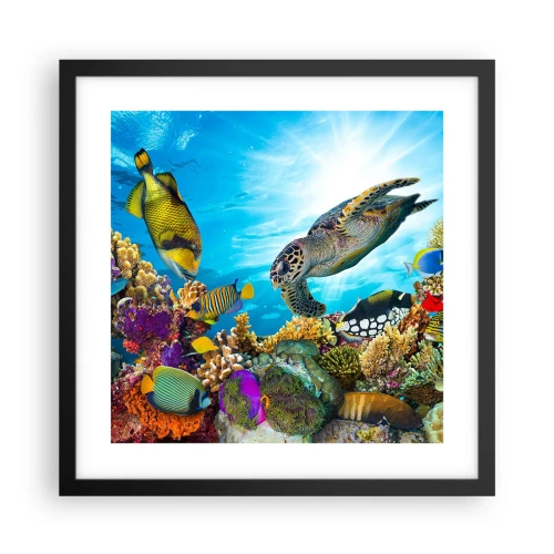Affisch i svart ram - Korallpromenad - 40x40 cm
