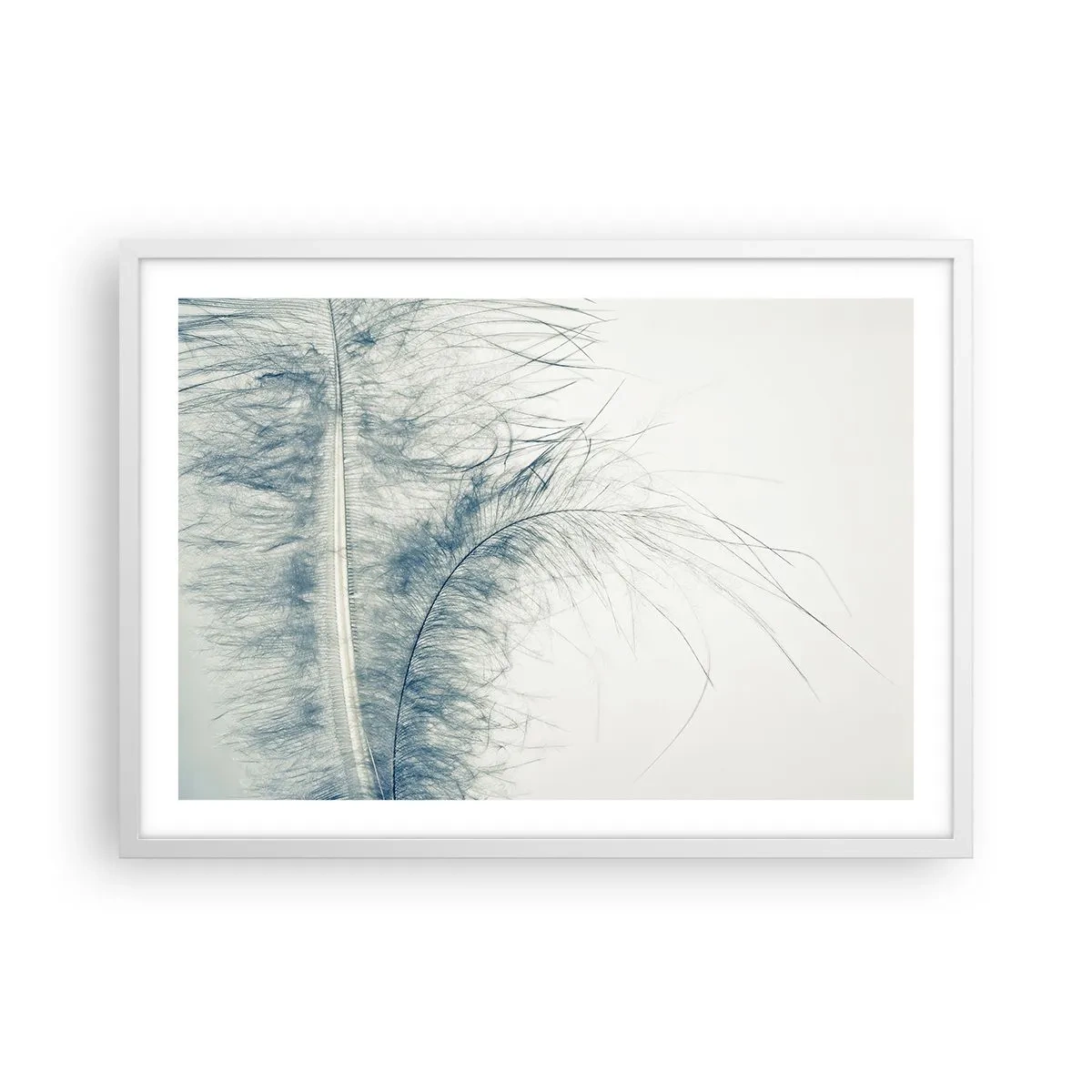 Affisch i vit ram - Naturens viskningar - 70x50 cm