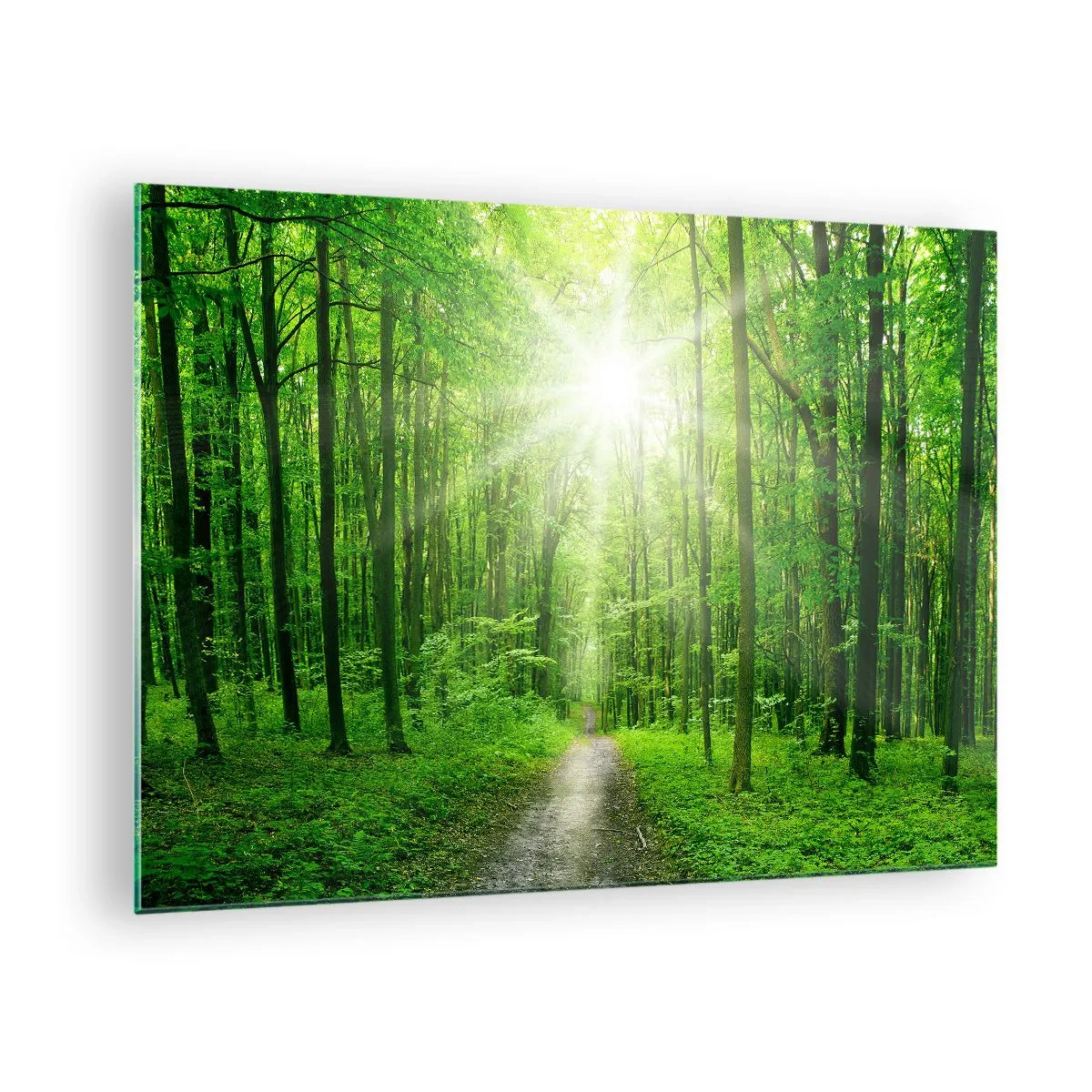 Glastavla - Bild på glas - En stig i skogen upplyst av solens strålar - 70x50cm - Grön domkyrka - Modern väggdekoration för vardagsrum och sovrum ARTTOR