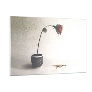 Glastavla - Bild på glas - Rosa dolorosa - 120x80 cm
