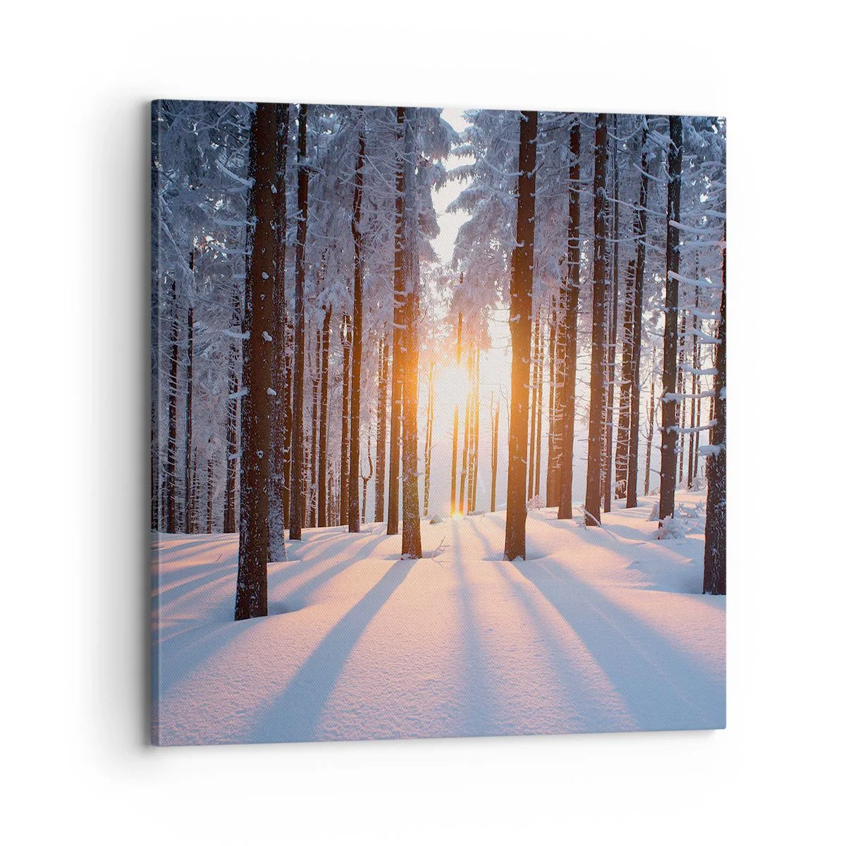 Canvastavla - Bild på duk - Tydligt svart på vitt - 70x70 cm