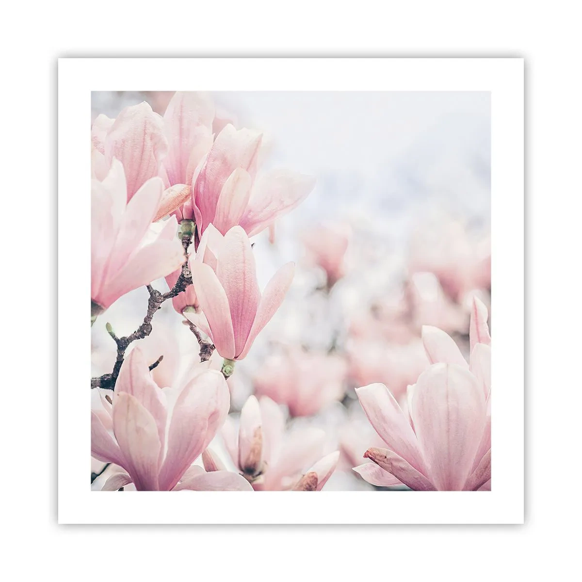 Affisch - Perfekt subtilitet - 50x50 cm