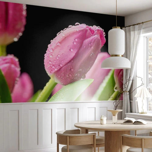 Självhäftande Fototapet Deluxe Sticker - Lila sömn i daggen - Blommor, Tulpaner, Blombukett - 450x315 cm