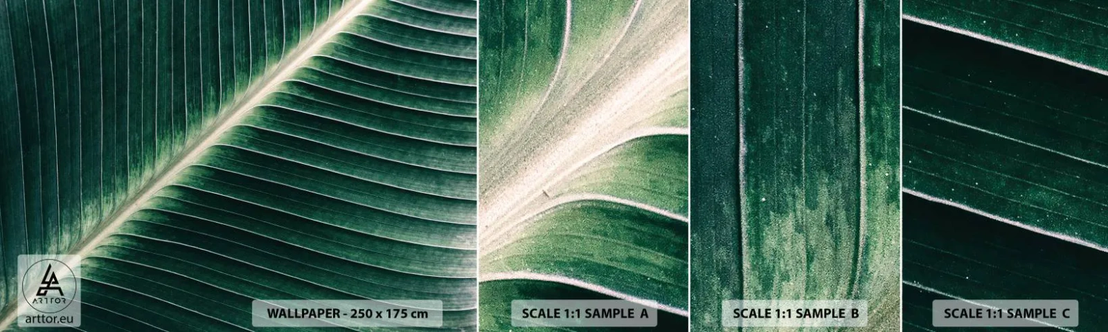 Provbit av självhäftande fototapet Deluxe Sticker - Naturens rytm - Abstraktion, Grönt löv, Grafik - 100x30 cm