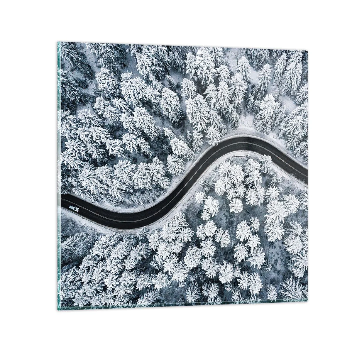 Glastavla - Bild på glas - Genom vinterskogen - 70x70 cm