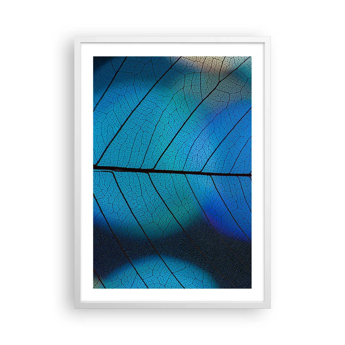 Affisch i vit ram - Invecklad konstruktion - 50x70 cm