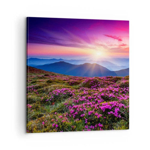 Canvastavla - Bild på duk - Doftande örter - 60x60 cm