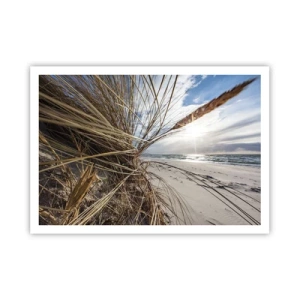 Affisch - Elementens möte - 100x70 cm