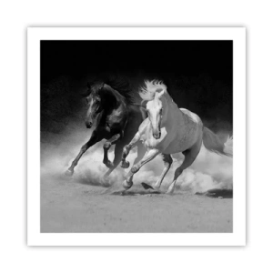 Affisch - Frihetens galopp - 60x60 cm