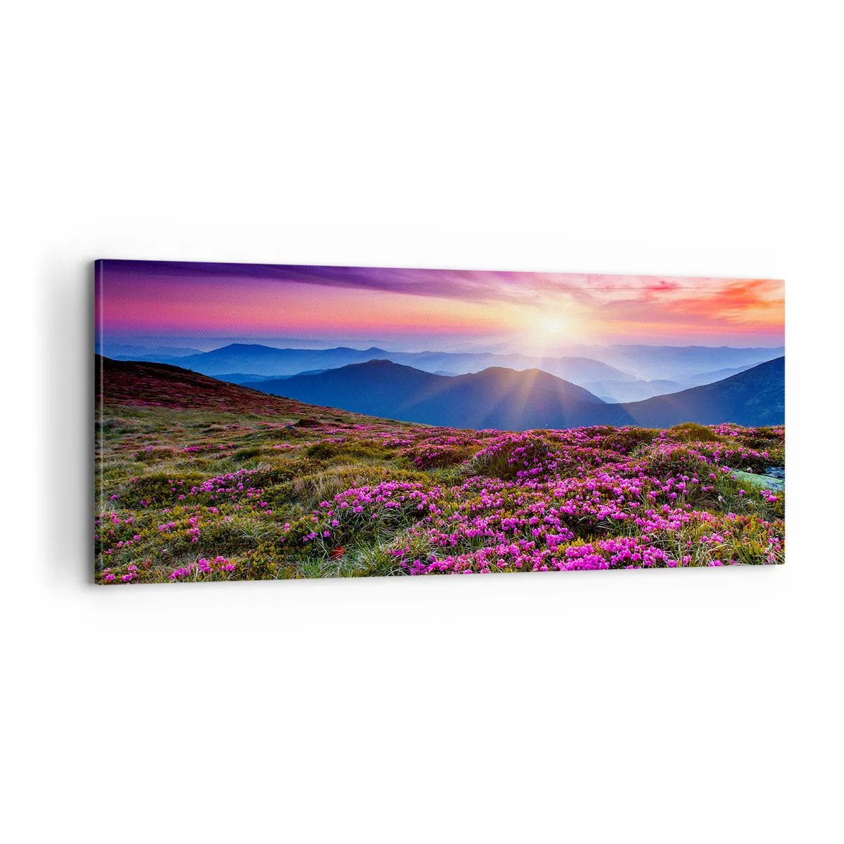 Canvastavla - Bild på duk - Doftande örter - 100x40 cm