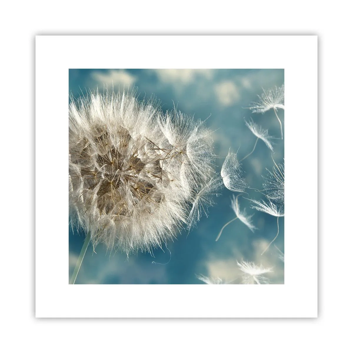 Affisch - Ängelns andetag - 30x30 cm