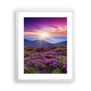 Affisch i vit ram - Doftande örter - 40x50 cm