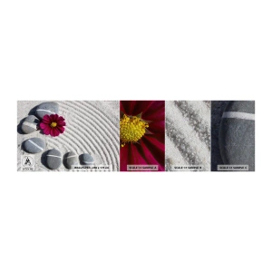 Provbit av fototapet Premium Sand - Den magiska naturkretsens energi och lugn - Blommor, Sand, Stenar - 100x30 cm