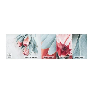 Fototapet Prov Standard Eco - Generad av sin skönhet - Blomma, Royal Protea, Afrika - 100x30 cm