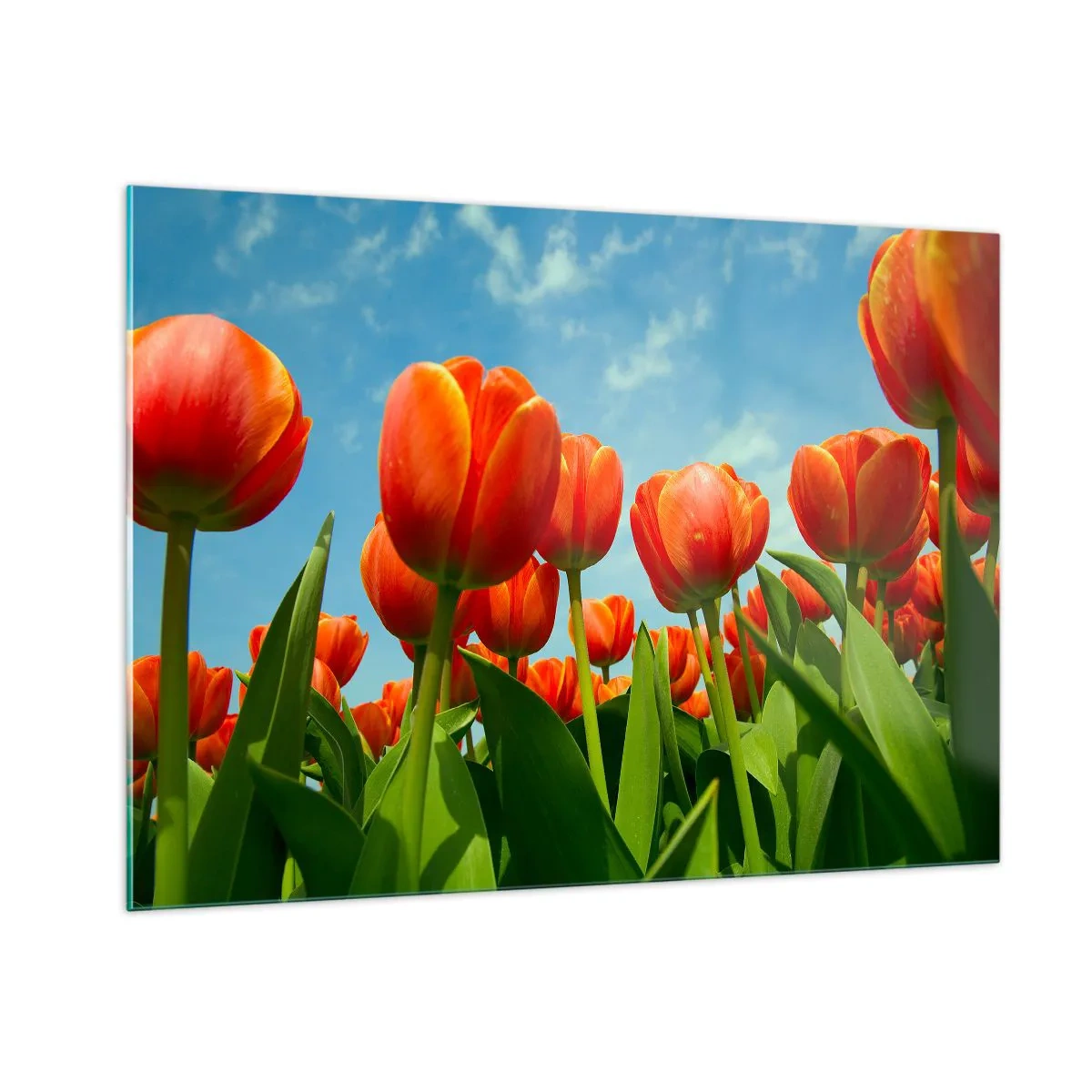 Glastavla - Bild på glas - Förutom blå himmel behöver vi inget annat i livet - 100x70 cm