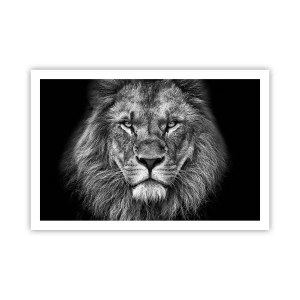 Affisch - I kröningskläder - 91x61 cm