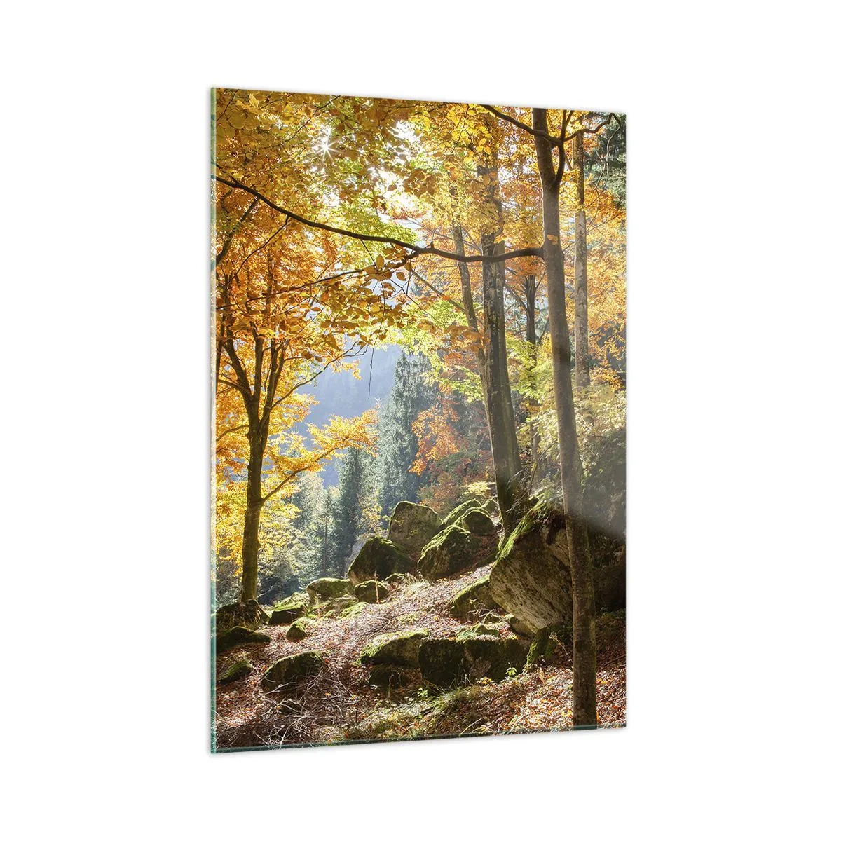 Glastavla - Bild på glas - Dags att vila - 50x70 cm