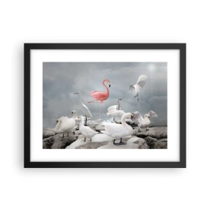 Affisch i svart ram - Hur har jag hamnat här? - 40x30 cm