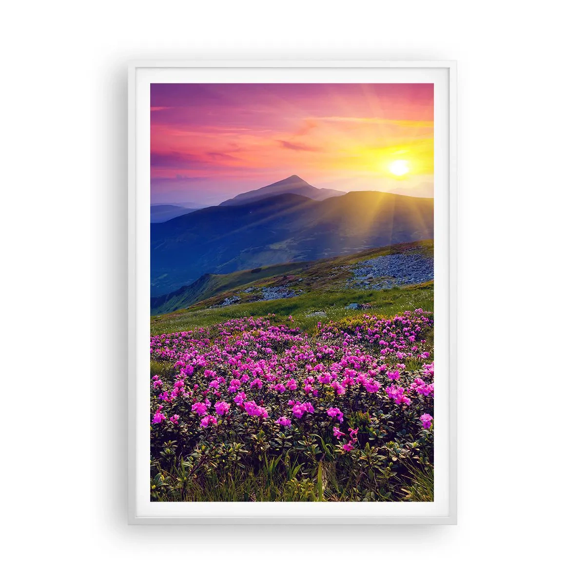 Affisch i vit ram - … Bergtallen doftar och örterna luktar runt omkring - 70x100 cm