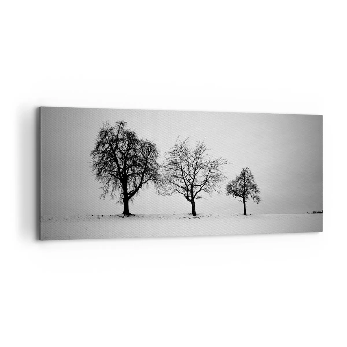 Canvastavla - Bild på duk - Vad drömmer de om? - 100x40 cm
