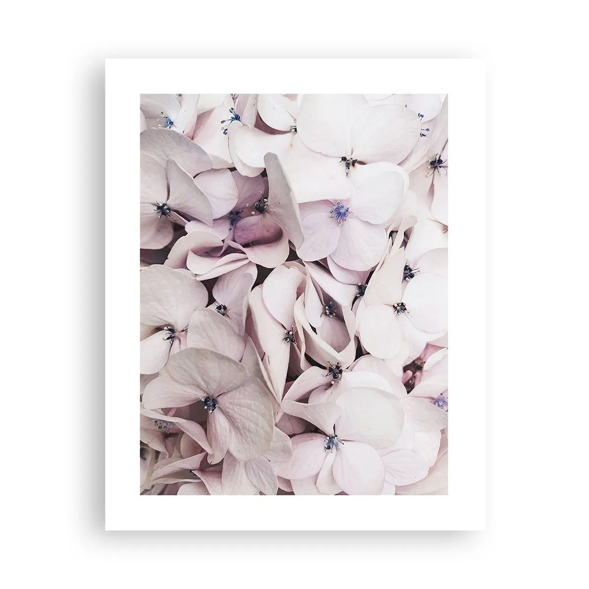 Affisch - I en flod av blommor - 40x50 cm